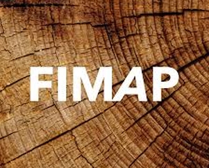 FIMAP 2024