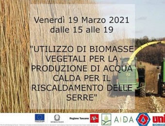 Conferenza: Impianti a Biomassa nelle Serre