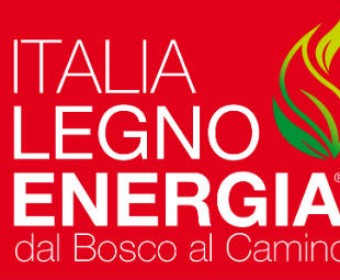 ITALIA LEGNO ENERGIA 2017