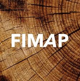 FIMAP 2024