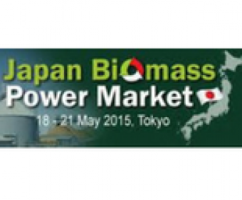 Japan Biomass Power Market 2015